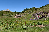 Lago Devero - Alpe  Corbernas (2007 m) 